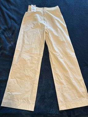 Zara Wide-Leg Pants in Light Beige